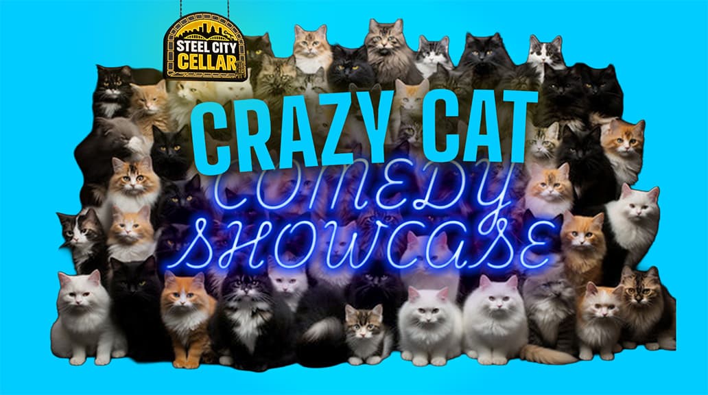 Crazy Cat Comedy Showcase — the room