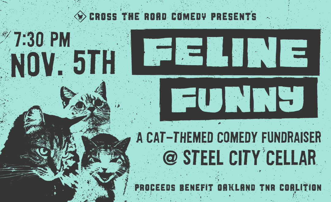 Feline Funny: A Cat-Themed Comedy Fundraiser — the room
